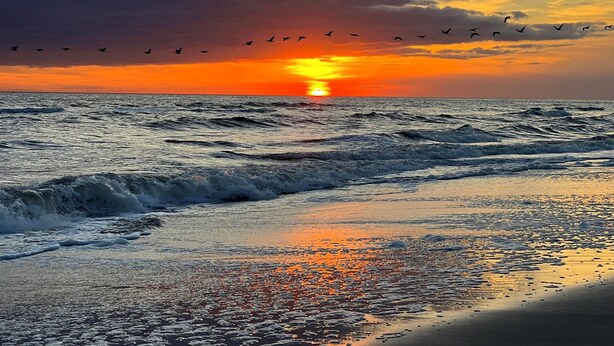 Strand