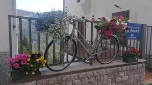A bicycle leaning against a railing, a flower pot with flowers, and a sign with a phone number.