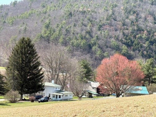 50 Acres of Adventure: Discover Walter’s Place”