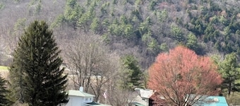 50 Acres of Adventure: Discover Walter’s Place”