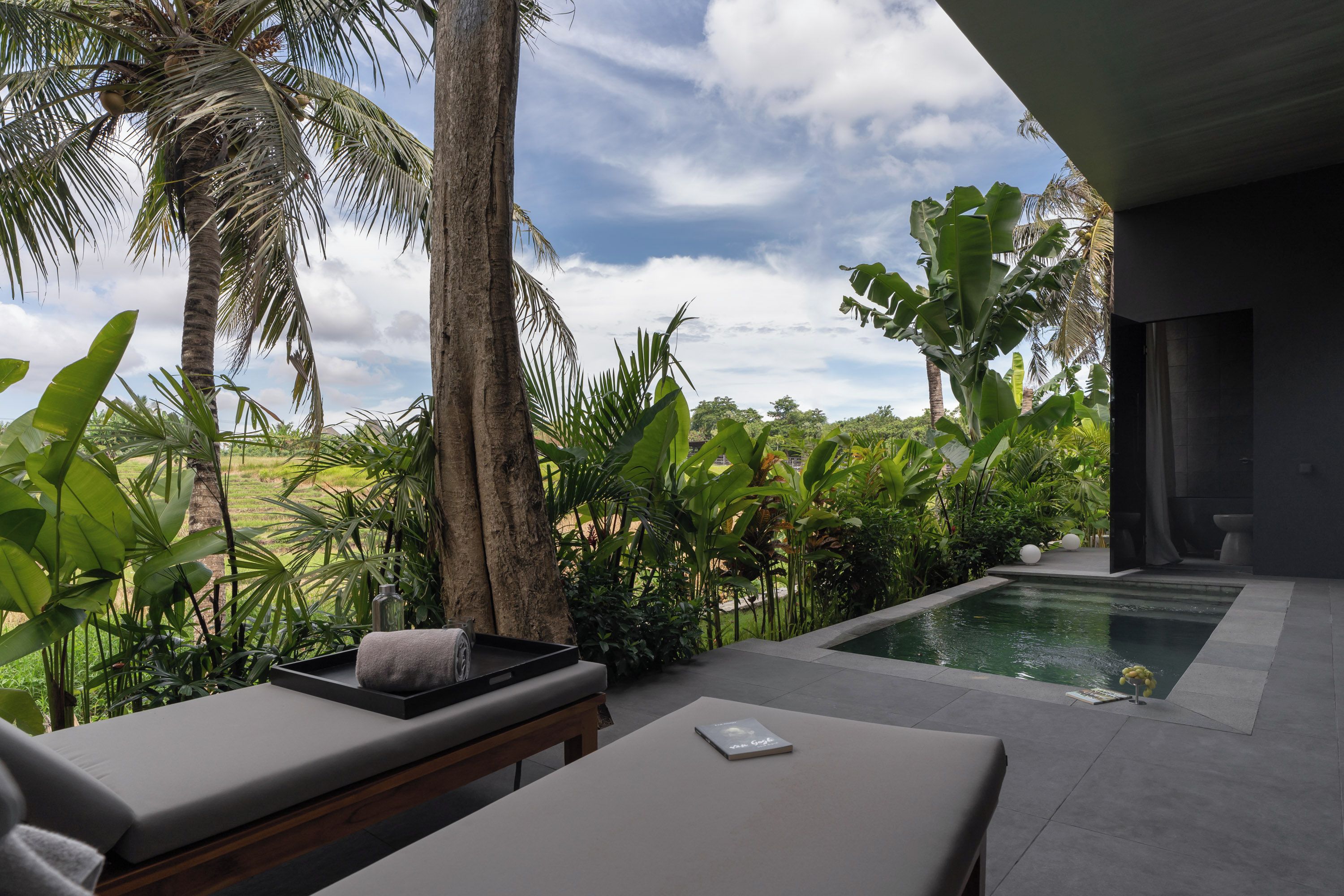 Un espace aménagé au bord de la piscine, avec des chaises longues, une petite table et une vue sur un paysage luxuriant, parsemé de palmiers.
