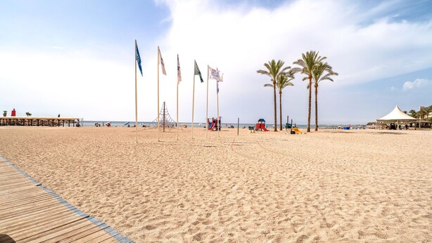A beach with a wooden boardwalk, palm trees, and flags.