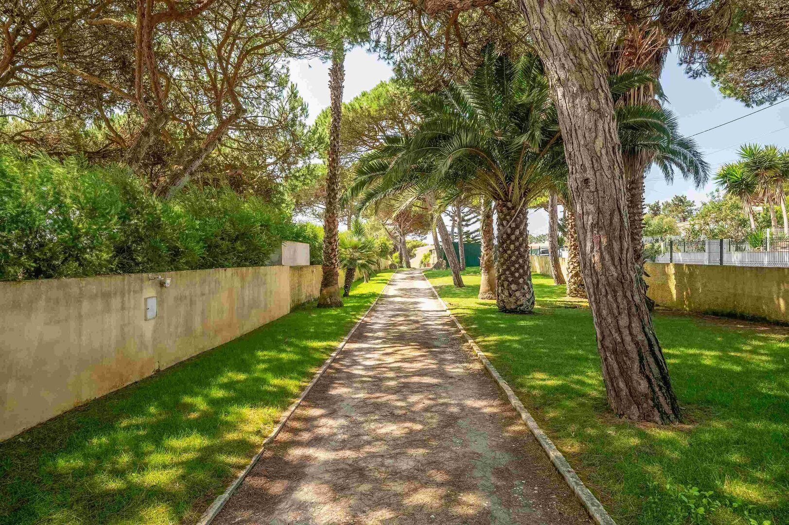 Área da propriedade