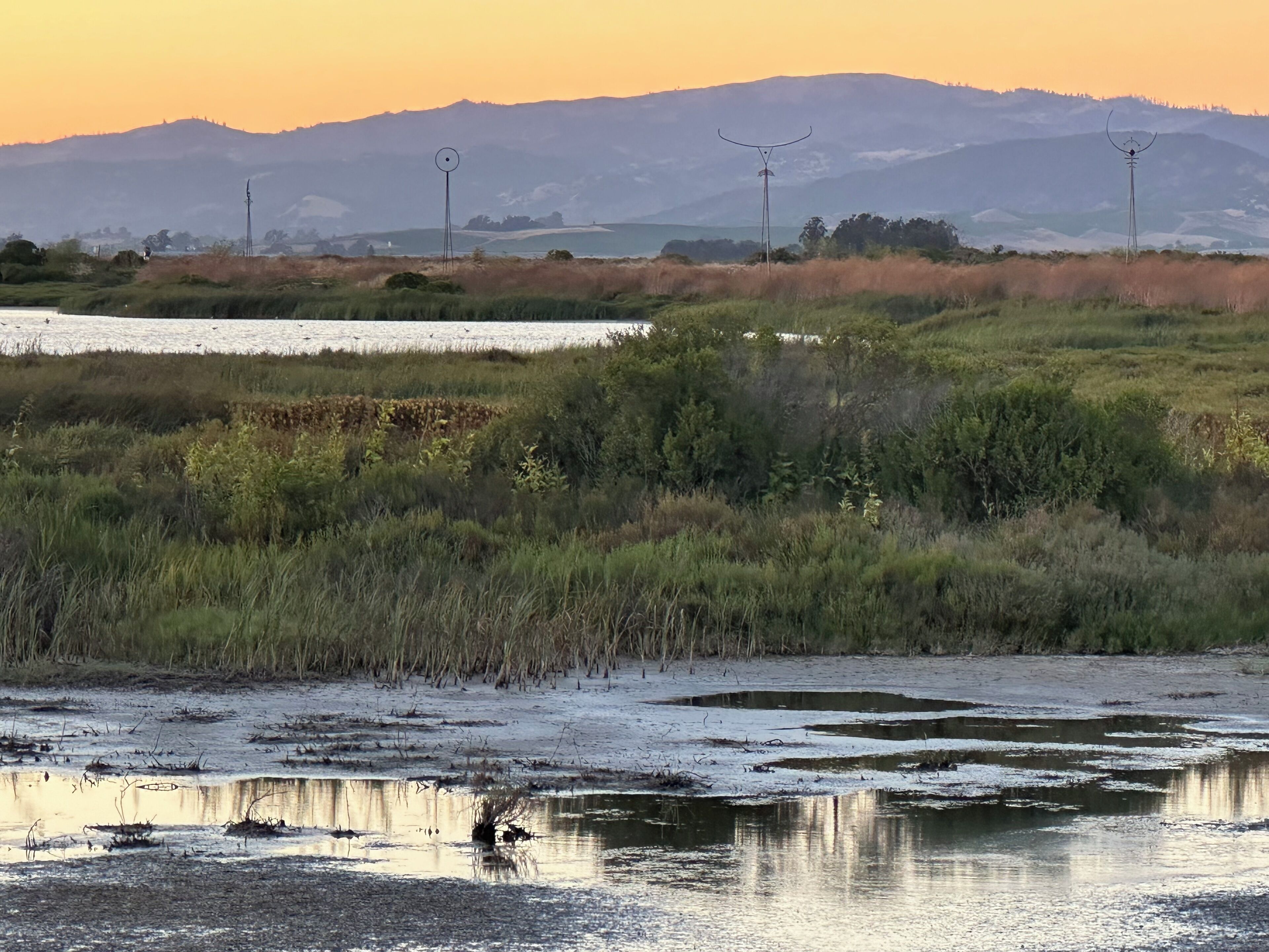 Un paisaje natural con una masa de agua, vegetación y colinas a lo lejos.
