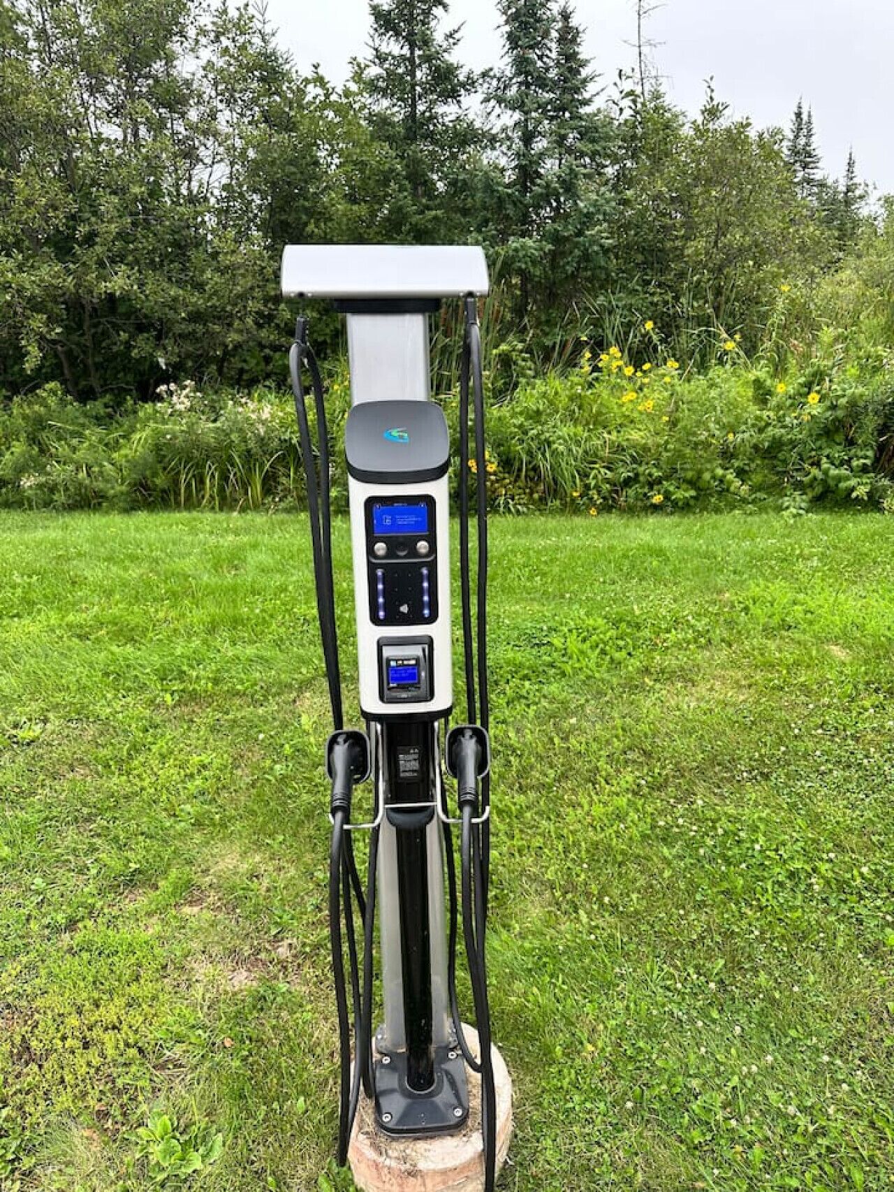 Estación de carga para vehículos eléctricos en un área verde con árboles al fondo.