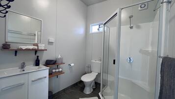 Hair dryer, towels, soap, shampoo