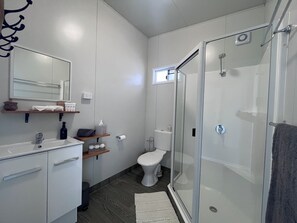Hair dryer, towels, soap, shampoo