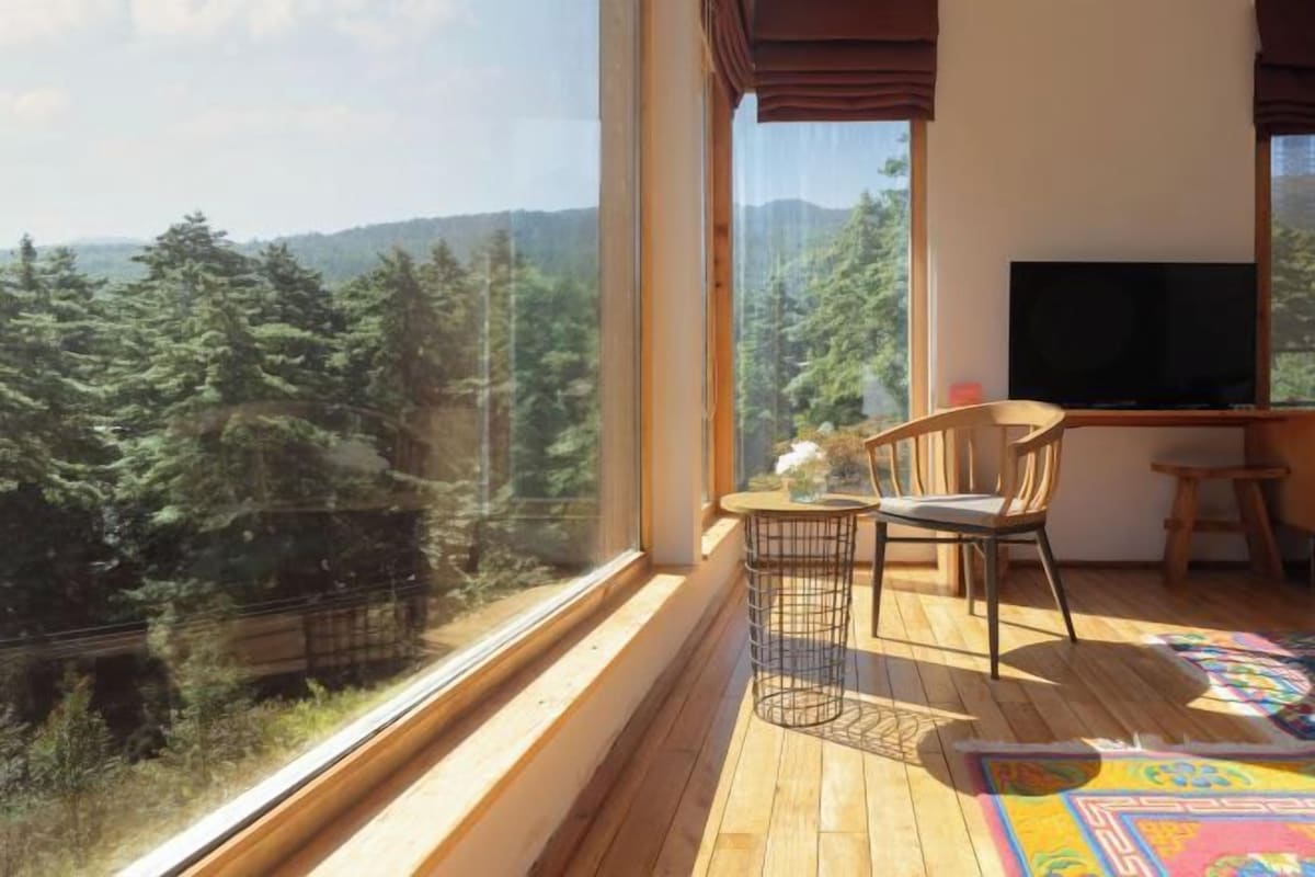 A balcony with a wooden floor, a television, and a chair.