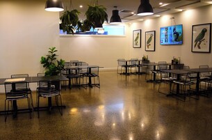 Un salón de conferencias con mesas y sillas, una planta grande y cuadros en las paredes.