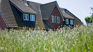 Ett hus med ett sluttande tak, två synliga fönster och en gräsklädd förgrund.