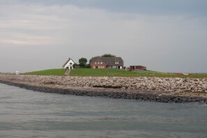 Et kysthus med en stenvæg og en græsdækket bakke.