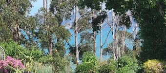 Lavender Cottage at Akaroa Lavender