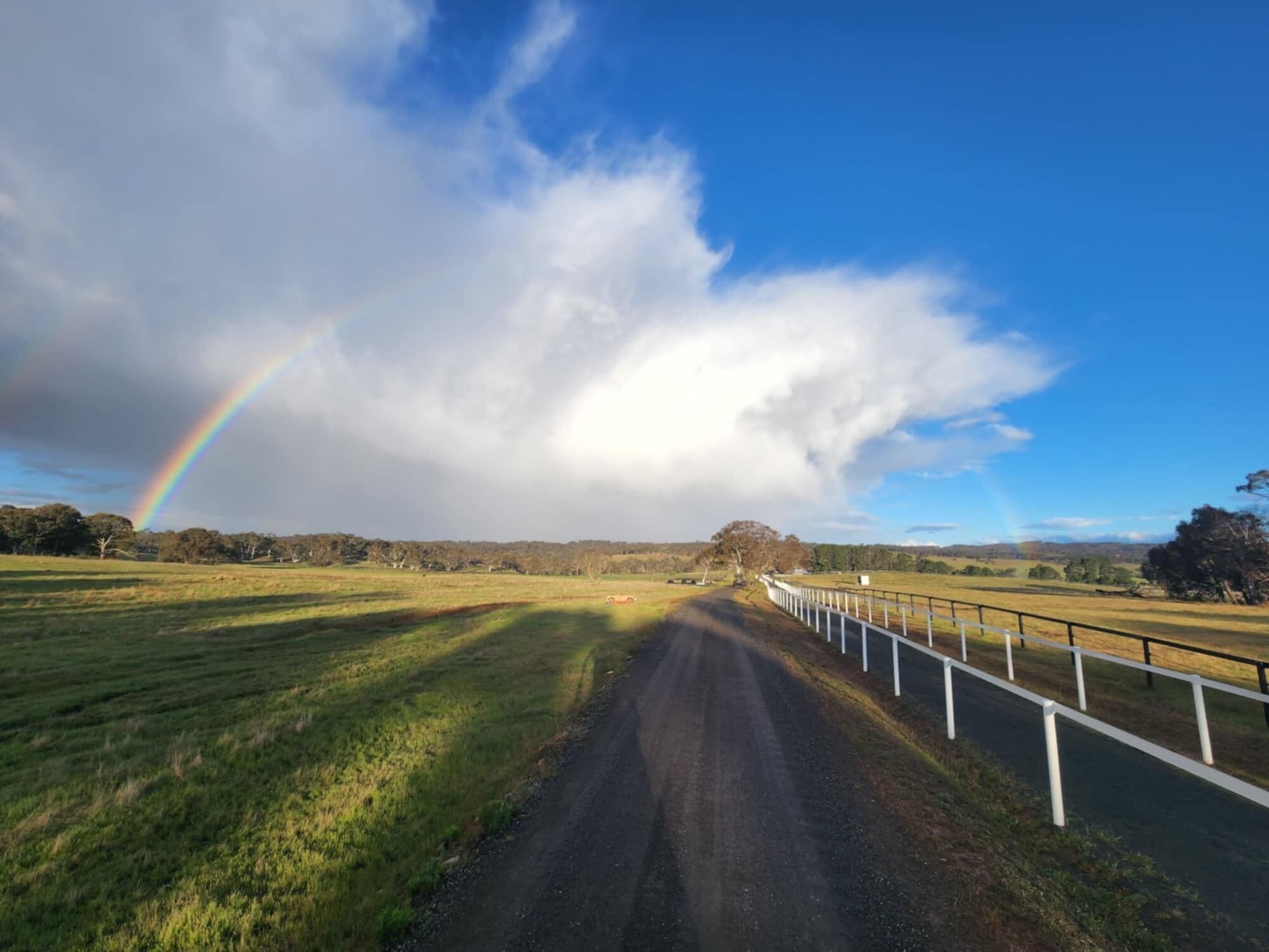 A rural road with a rainbow, surrounded by fields and trees under a partly cloudy sky.
