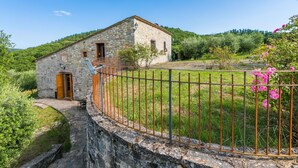 Un edificio de piedra con puerta de madera, rodeado por una cerca de metal y abundante vegetación.