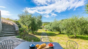 Un área de comedor al aire libre con una escalera de piedra, sillas de metal, una mesa con pan y tomates, y un olivar al fondo.