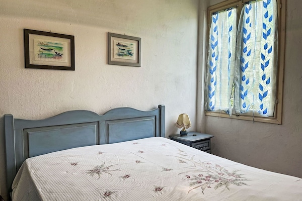 Pflanze, Blume, Eigentum, Tabelle, Gebäude, Möbel, Fenster, Blumentopf, Schatten, Zimmerpflanze