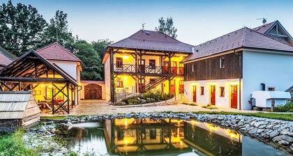 Lovely apartment for 12 guests with WIFI, terrace and pets allowed