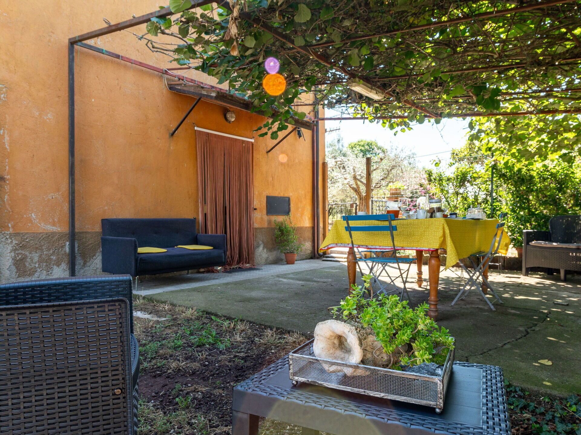 Plante, Propriété, Bâtiment, Fenêtre, Ombre, Herbe, Mobilier De Jardin, Lumière Du Soleil, Arbre, Chalet