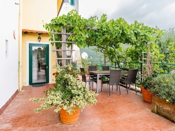 Plante, Fleur, BĂątiment, Pot De Fleur, FenĂȘtre, Plante D'Appartement, Orange, Table, Chaise, Mobilier De Jardin