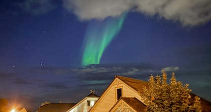 Pet friendly apartment in Oldervik