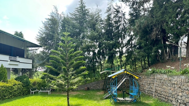 A playground with a slide and climbing structure, surrounded by grass and trees.