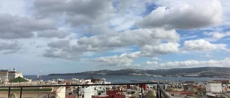 Terras