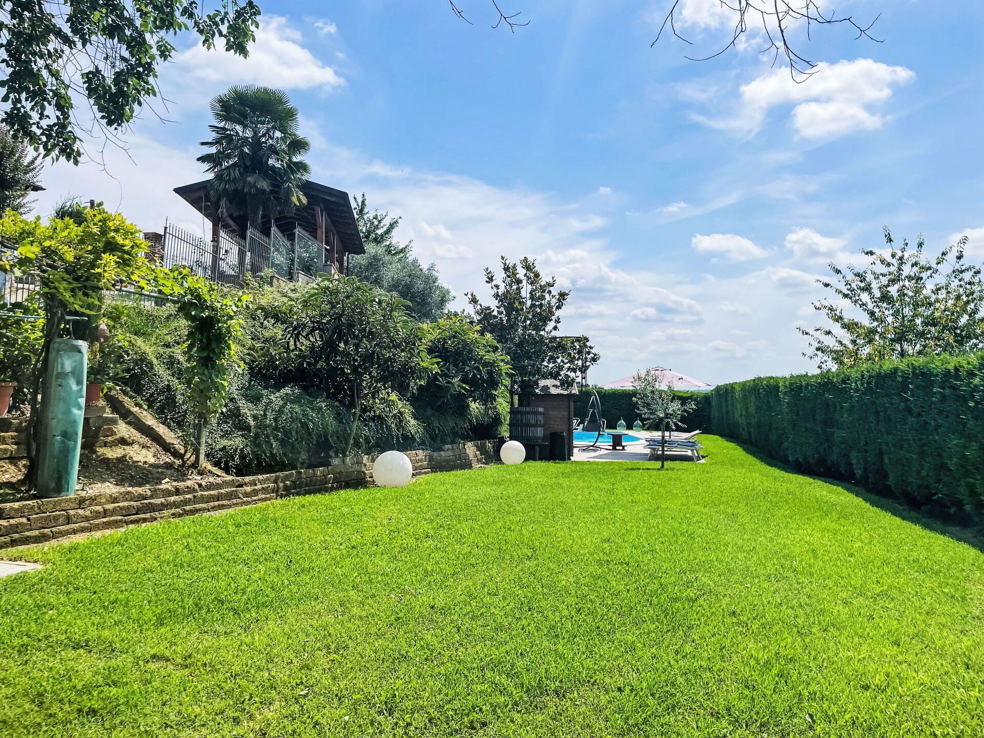 Plante, Ciel, L'Eau, Propriété, Bleu Azur, Paysage Naturel, Arbre, Végétation, Arecales, Plan D'Eau