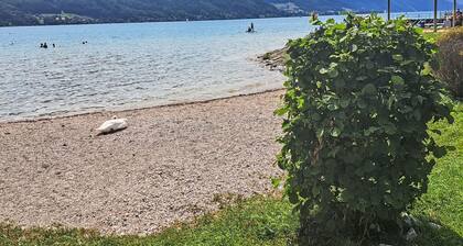Nice apartment for 4 guests with WIFI, TV, patio, panoramic view and parking
