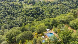 A lush green landscape with a swimming pool and a small building surrounded by dense trees. - Lovely apartment for 6 guests with WIFI, pool, A/C, TV, patio, pets allowed and panoramic view (Gaiole In Chianti)