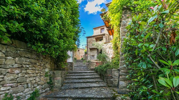 A stone staircase leading up to a rustic building with greenery on the sides. - Lovely apartment for 6 guests with WIFI, pool, A/C, TV, patio, pets allowed and panoramic view (Gaiole In Chianti)