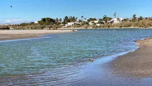 Une plage avec une eau claire, un rivage sablonneux et des bâtiments en arrière-plan.