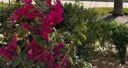 Holiday Home Vera Playa Casa Don Carlo