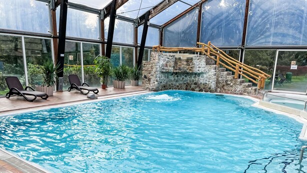 Una piscina interior con agua cristalina, rodeada de sillones de descanso y plantas en macetas.