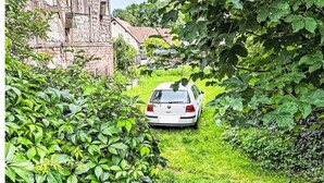Een witte auto geparkeerd op een smal, lommerrijk pad dat leidt naar een rustiek gebouw met een pannendak.
