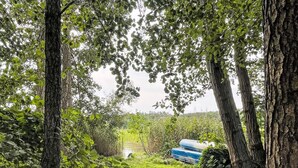 Un paysage naturel avec des arbres et un conteneur bleu en arrière-plan.