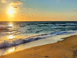 Vista desde la propiedad