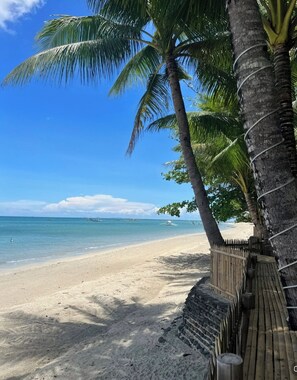 Front of property - Treasure Beach Co.  (Carles)