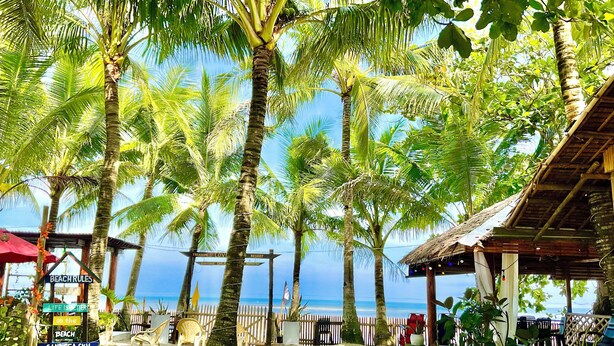 A beach resort with palm trees, a wooden fence, and a signboard with beach rules. - Treasure Beach Co.  (Carles)