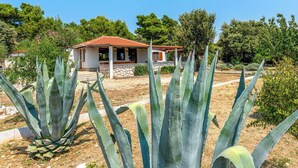 Una casa con techo de tejas rojas, rodeada de plantas de agave y árboles.