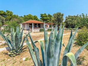 A house with a red-tiled roof, surrounded by agave plants and trees.