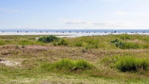 A coastal landscape with a sandy beach and grassy dunes. - 3 Person Holiday Home in Fano-by Traum (Fano)