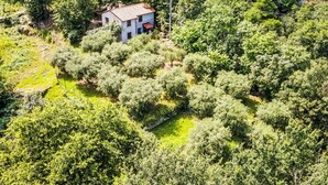 An aerial view of a rural property with a white house surrounded by dense greenery and orchards. - Wonderful private villa for 6 guests with WIFI, TV, patio and pets allowed (Rialto)