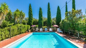 A rectangular swimming pool with clear blue water, surrounded by a wooden deck. There are several lounge chairs and umbrellas along the poolside. Tall, slender trees are visible in the background. - Wonderful private villa for 6 people with pool, terrace and pets allowed (Casale Marittimo)