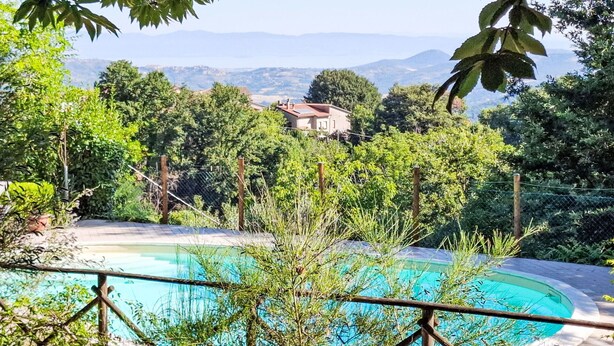 Una piscina rodeada de abundante vegetación y una casa al fondo.