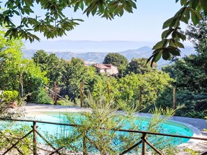 Uma piscina rodeada por vegetação exuberante e uma casa ao fundo.