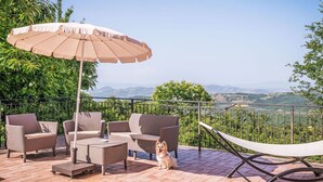 Un patio con mobiliario de mimbre, una hamaca y un perro.
