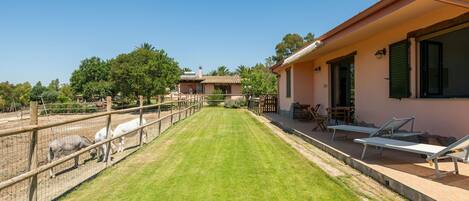 テラス / パティオ