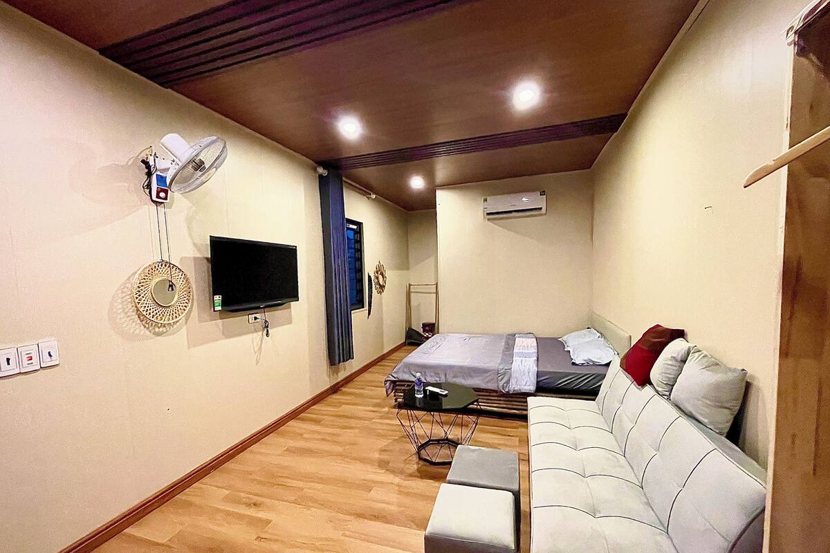 Une chambre d’hôtel avec un canapé, une télévision, un ventilateur de plafond et un lit.