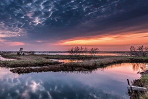A serene landscape with a calm body of water reflecting the sky, a wooden pier extending into the water, and sparse vegetation around the area.
