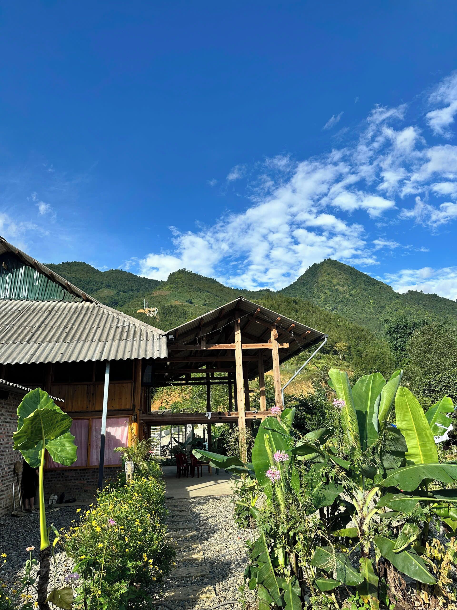 A rustic wooden building with a corrugated metal roof, surrounded by lush greenery and a clear blue sky.